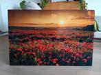 Foto op plexiglas, zo goed als nieuw, Ophalen