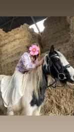 Brave Tinker merrie, Dieren en Toebehoren, Merrie, B pony (1.17m tot 1.27m), 7 tot 10 jaar