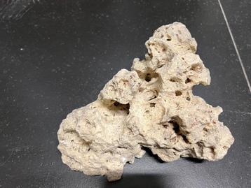 Lot de 16 pierres à trous naturelles pour aquarium cichlidés, Enlèvement, Plante(s), Pierre ou Bois