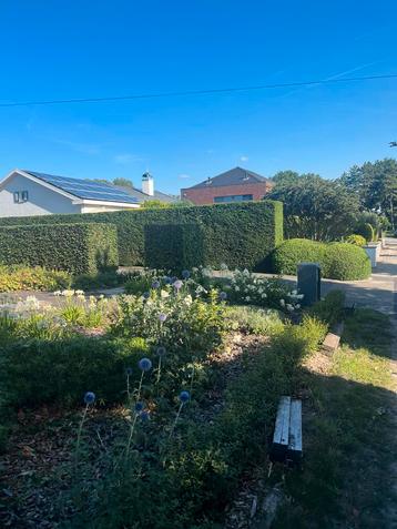 Tuininderhoud