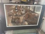 Groot terrarium, Dieren en Toebehoren, Ophalen, Gebruikt, Terrarium of Paludarium