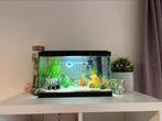 Tom&Co Aquarium 20L zwart + toebehoren, Dieren en Toebehoren, Ophalen, Zo goed als nieuw, Leeg aquarium