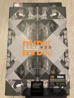 Target Raymond van Barneveld x Echo Swiss Point 95% 25g, Enlèvement ou Envoi, Utilisé, Fléchettes