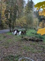 Chalet in de Ardennen regio Durbuy huren? Krokus nog vrij !, Ophalen, Nieuw