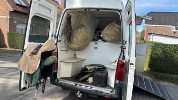  ONLY 1 IN BENELUX! — REAL 2 HORSE TRUCK — no overload  beschikbaar voor biedingen