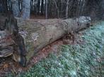 Brandhout. 8m lang 1m diameter. Ligt meer dan 2 jaar., Tuin en Terras, Brandhout, Ophalen