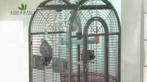 cage, Animaux & Accessoires, Oiseaux | Cages & Volières, Enlèvement, Utilisé, Métal
