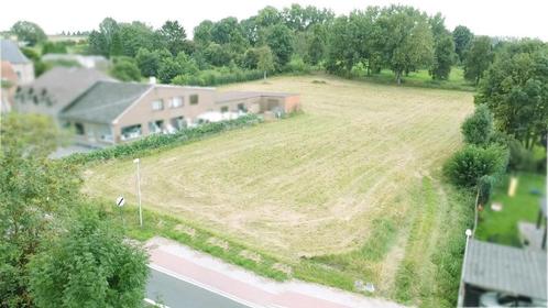 Unieke bouwgrond (6141 m²) met agrarisch achterland, Immo, Gronden en Bouwgronden, 1500 m² of meer