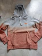 hoodie SUPERDRY in maat L, Kleding | Dames, Nieuw, Maat 42/44 (L), Superdry, Ophalen of Verzenden