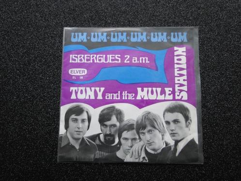 TONY and the MULE STATION très rare ISBERGUES 2 A.M label EL, Cd's en Dvd's, Vinyl | Rock, Zo goed als nieuw, Poprock, 10 inch