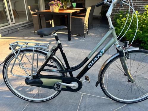 Giant Darwin, Fietsen en Brommers, Fietsen | Dames | Damesfietsen, Gebruikt, Giant, Versnellingen, 53 tot 56 cm, Ophalen