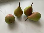 Peren te koop, Ophalen, Perenboom