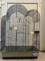 Vogelkooi, Dieren en Toebehoren, Ophalen of Verzenden, Vogelkooi