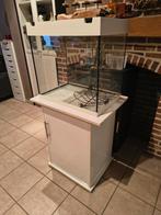 Aquarium, Enlèvement