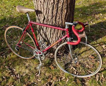 Rossino koersfiets 54cc/55ct beschikbaar voor biedingen