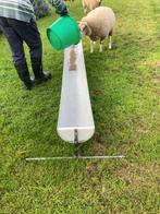 Voergoot voor schapen of geiten, Dieren en Toebehoren, Schapen, Geiten en Varkens, Schaap