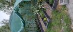 Boogserre met inrichting, Tuin en Terras, Ophalen, Gebruikt, Plastic