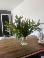 Ik zoek extra uren, Vacatures, Vacatures | Thuiswerk