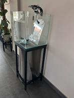 Aquarium incl lamp en filter, Ophalen, Zo goed als nieuw, Leeg aquarium