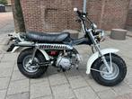 SKYTEAM T REX 125CC MET COC