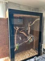 Terrarium, Dieren en Toebehoren, Vogels | Toebehoren, Ophalen, Zo goed als nieuw