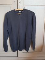 Trui - mt 36, Ophalen of Verzenden, Zo goed als nieuw, Blauw