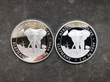 LAATSTE Bijzonder setje - 2025 Somalia elephant - 2 x 1 oz s beschikbaar voor biedingen