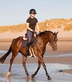Lieve 7 jarige merrie te koop, Merrie, Gechipt, L, 7 tot 10 jaar