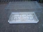 Kweekkooien, Enlèvement, Comme neuf