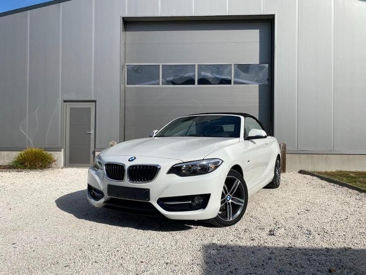 BMW 218I Cabriolet ***Handelaar/Export***, Auto's, BMW, Bedrijf, Te koop, 2 Reeks, Benzine, Euro 5, Cabriolet, 3 deurs, Handgeschakeld
