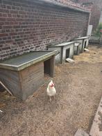 Kippenhok x3 plus kippen plus draad plus hek, Dieren en Toebehoren, Ophalen, Zo goed als nieuw