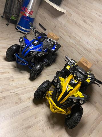 Quad 1000watt 48v  beschikbaar voor biedingen