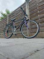Fiets, Ophalen, Zo goed als nieuw, Schauff