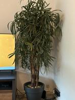 Kunstplant (groot), Ophalen, Zo goed als nieuw