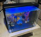 Aquarium home60, Ophalen