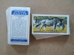 African Wildlife complete set 50 chromos dieren 1961, Ophalen of Verzenden, 1960 tot 1980, Dier