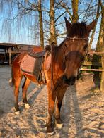 Western zadel te koop, Dieren en Toebehoren, Paarden en Pony's | Zadels, Ophalen