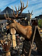 Super groot hertenkop, Antiek en Kunst, Ophalen of Verzenden