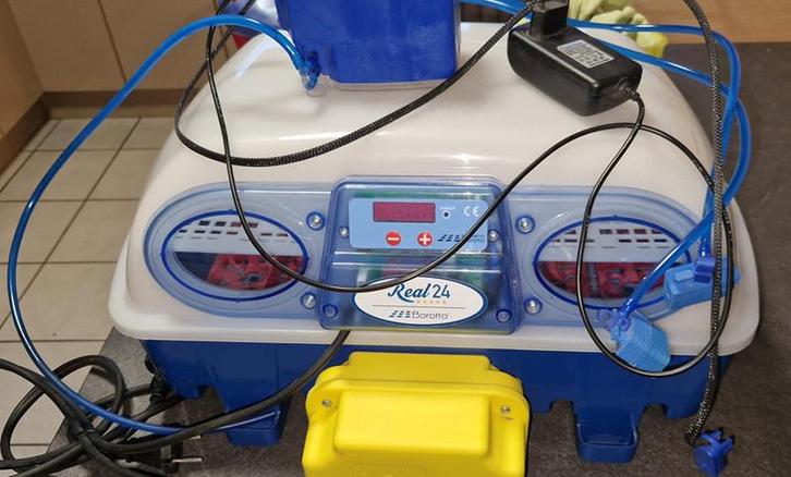 Volautomatische Borotto Real 24 Expert broedmachine, Dieren en Toebehoren, Pluimvee | Toebehoren, Zo goed als nieuw, Broedmachine