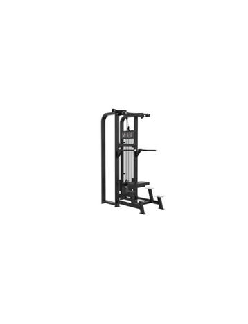 C19 | GYMFIT ASSISTED CHIN UP DIP | CUSTOM-LINE | NIEUW beschikbaar voor biedingen