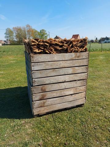 paletten brandhout per 2 bakken 125x125x170 beschikbaar voor biedingen