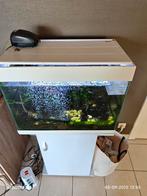 aquarium 60 liter met meubel, Dieren en Toebehoren, Vissen | Aquaria en Toebehoren, Ophalen of Verzenden