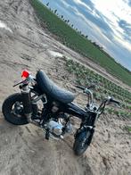 Dax 50cc Lifan, Fietsen en Brommers, Brommers | Honda, Ophalen, Klasse B (45 km/u), Zo goed als nieuw, 4 versnellingen
