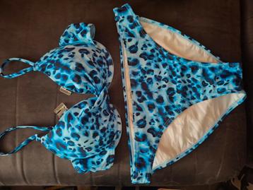 L (40) beschikbaar voor biedingen