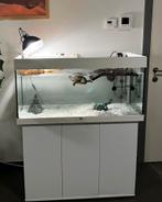 Groot aquarium met filter, kast en schildpad, Dieren en Toebehoren, Ophalen, Zo goed als nieuw, Overige typen