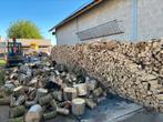 Brandhout populier, 6 m³ of meer, Ophalen, Overige houtsoorten, Blokken