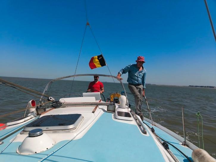 Samba 36 feet zeilboot., Watersport en Boten, Kajuitzeilboten en Zeiljachten, Gebruikt, Tourjacht of Cruiser, Polyester, 9 tot 12 meter