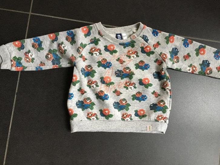 Pull of sweater WSP! maat 74, Kinderen en Baby's, Babykleding | Maat 74, Zo goed als nieuw, Meisje, Truitje of Vestje, Ophalen of Verzenden