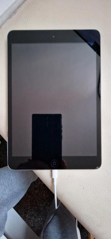 Apple iPad mini beschikbaar voor biedingen