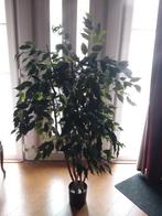 Kunstplant ficcus, Huis en Inrichting, Ophalen, Gebruikt, Binnen